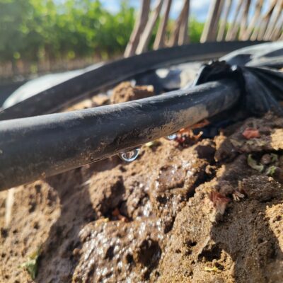 economie-des-ressources